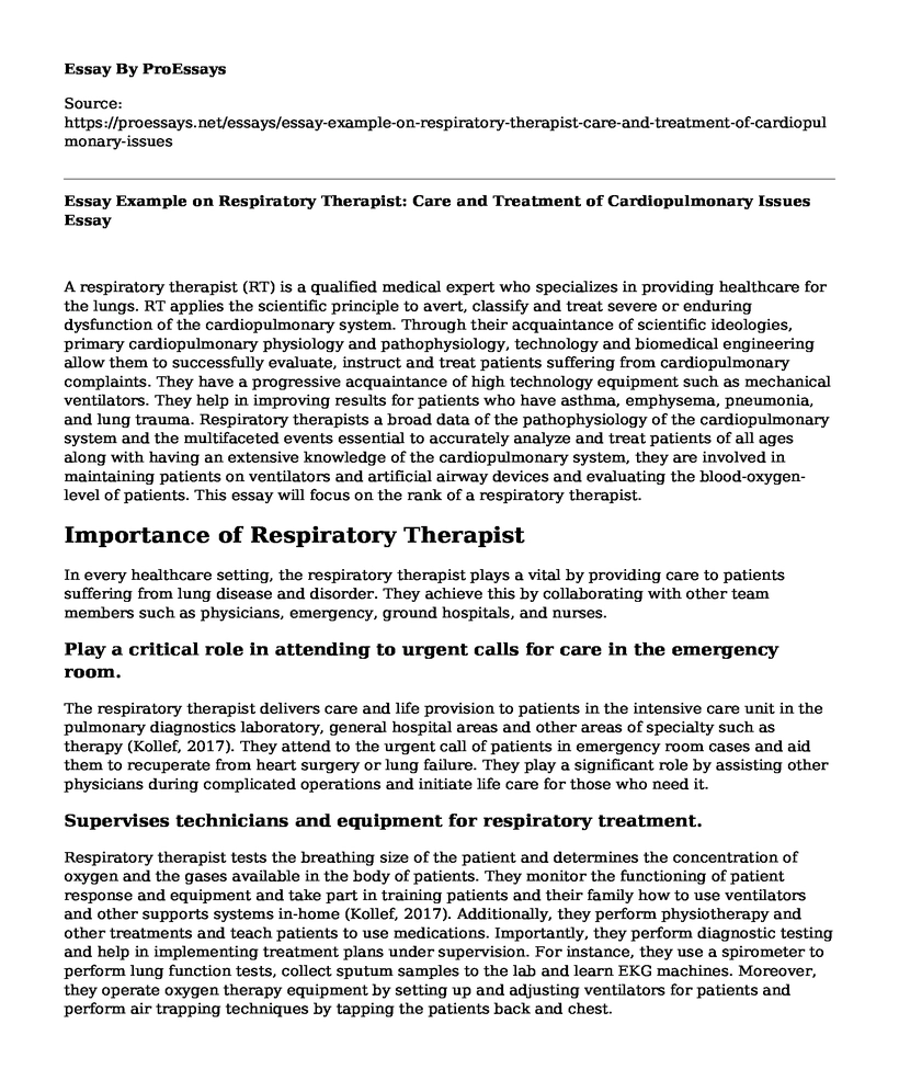 Essay Example on Respiratory Therapist: Care and Treatment of Cardiopulmonary Issues