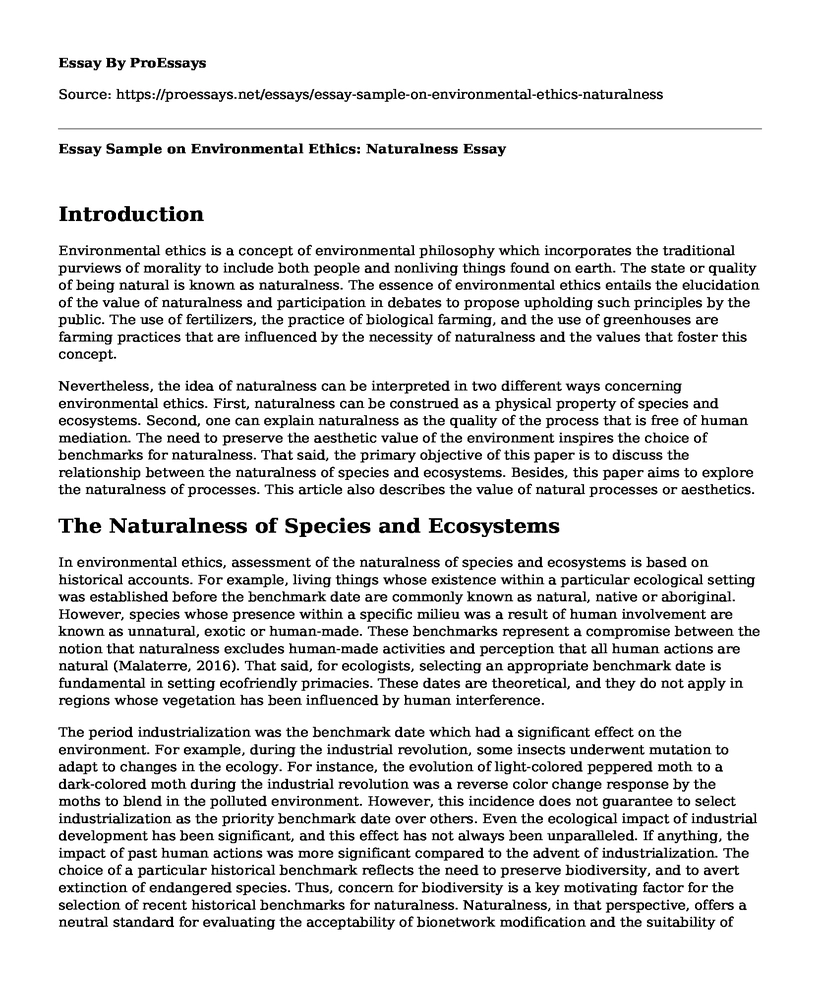 Essay Sample on Environmental Ethics: Naturalness