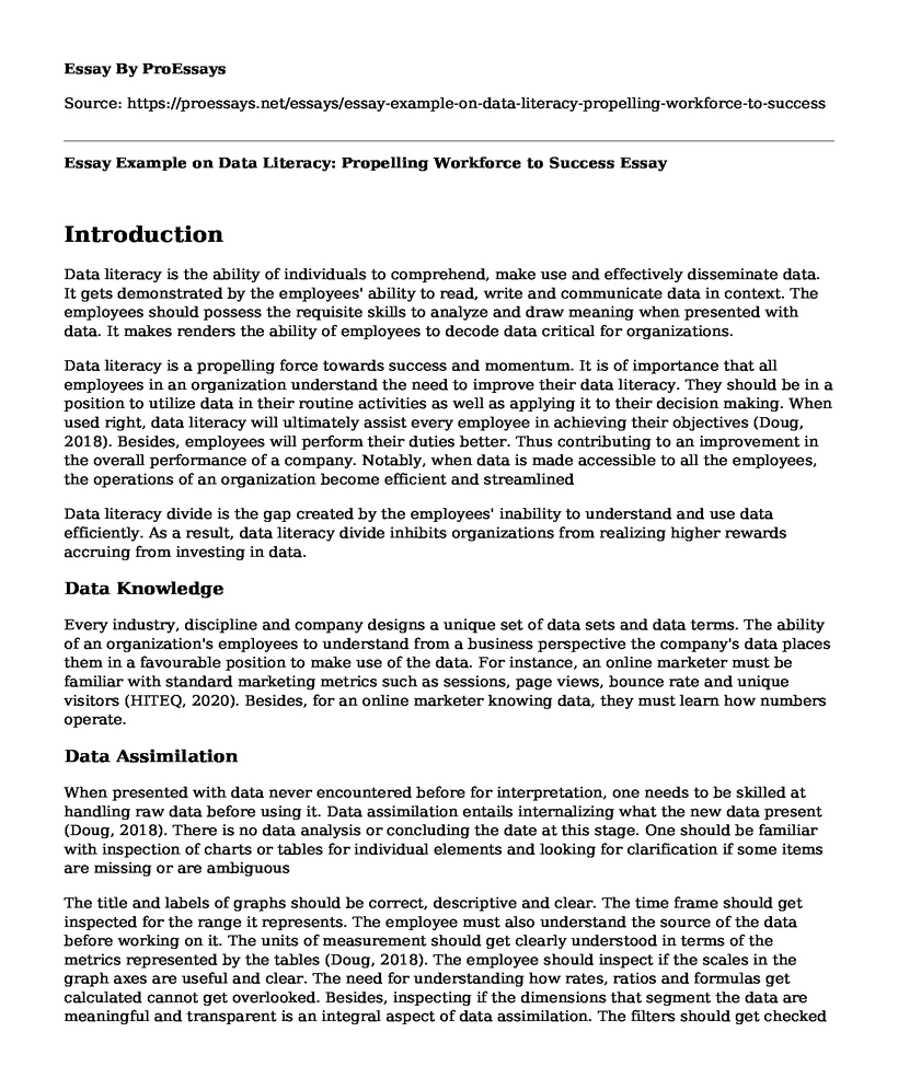 Essay Example on Data Literacy: Propelling Workforce to Success