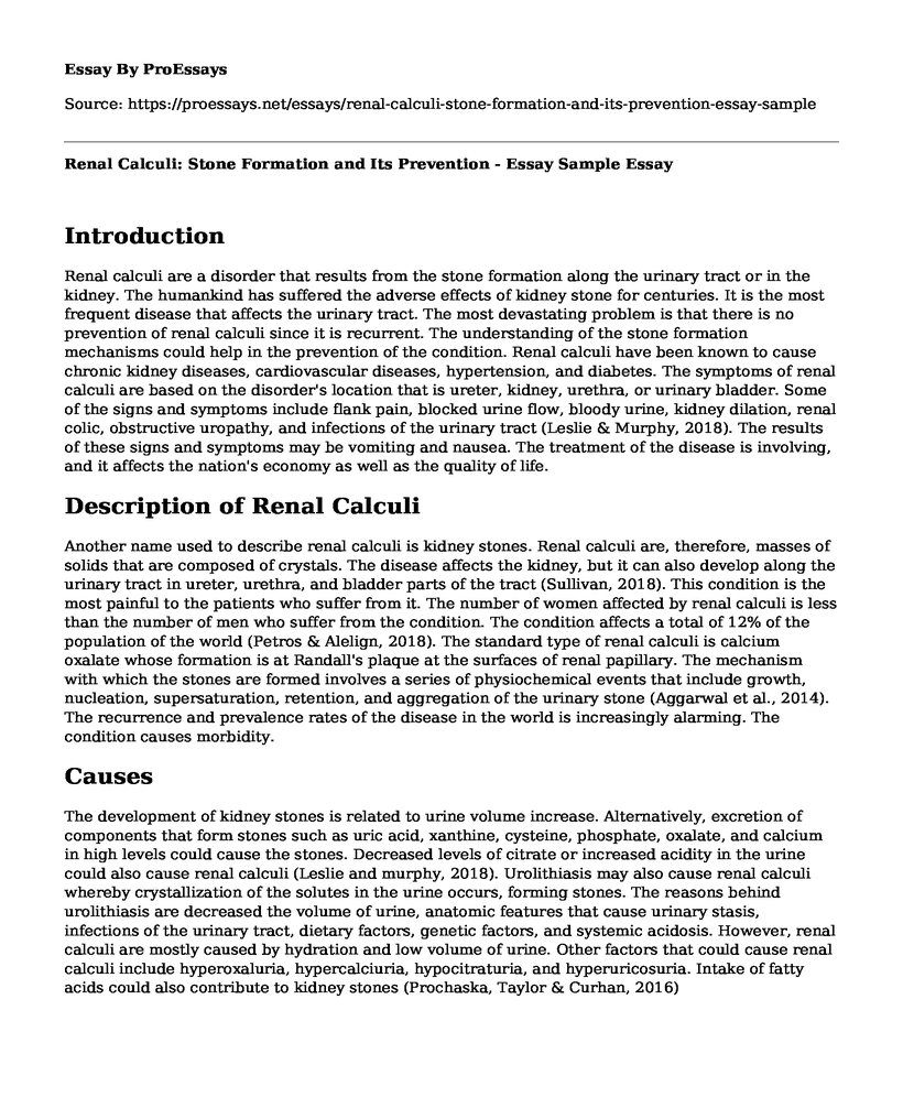 Renal Calculi: Stone Formation and Its Prevention - Essay Sample