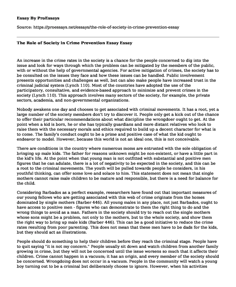 The Role of Society in Crime Prevention Essay