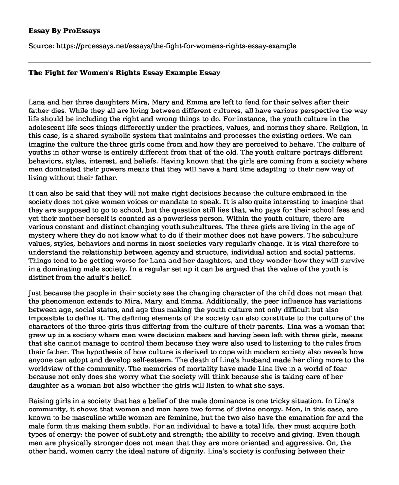 The Fight for Women's Rights Essay Example
