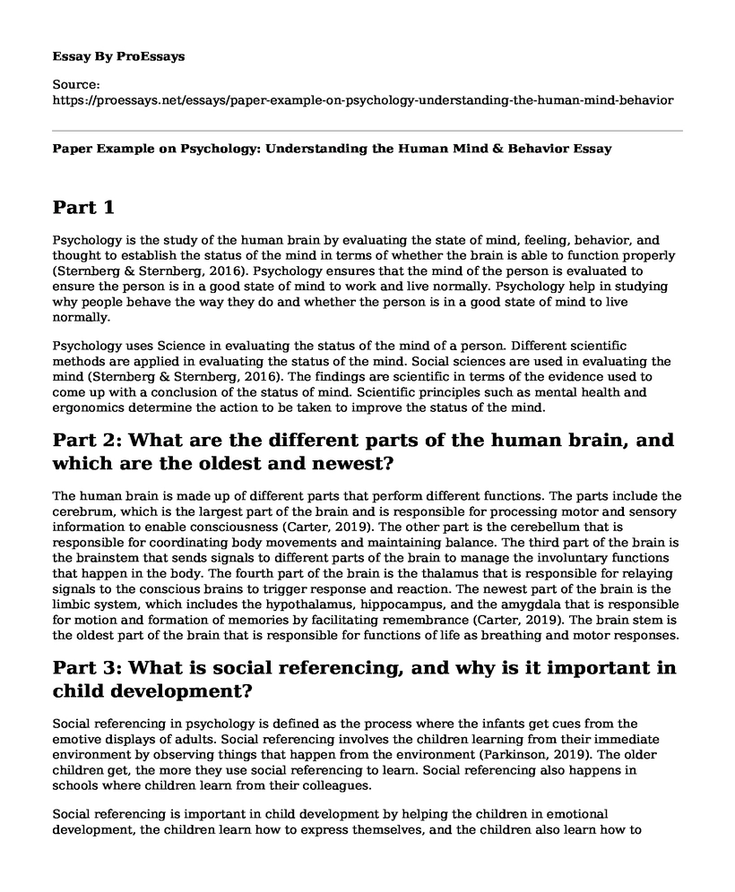 Paper Example on Psychology: Understanding the Human Mind & Behavior