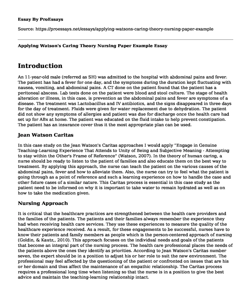 Applying Watson's Caring Theory Nursing Paper Example