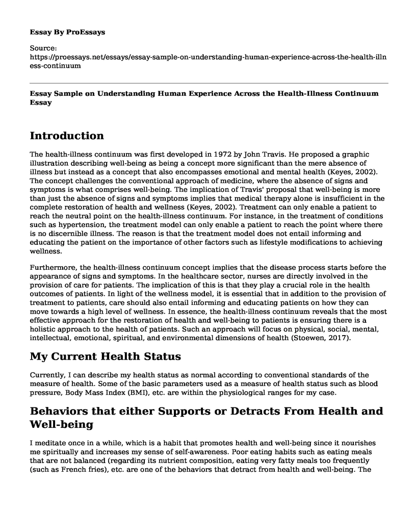 Essay Sample on Understanding Human Experience Across the Health-Illness Continuum