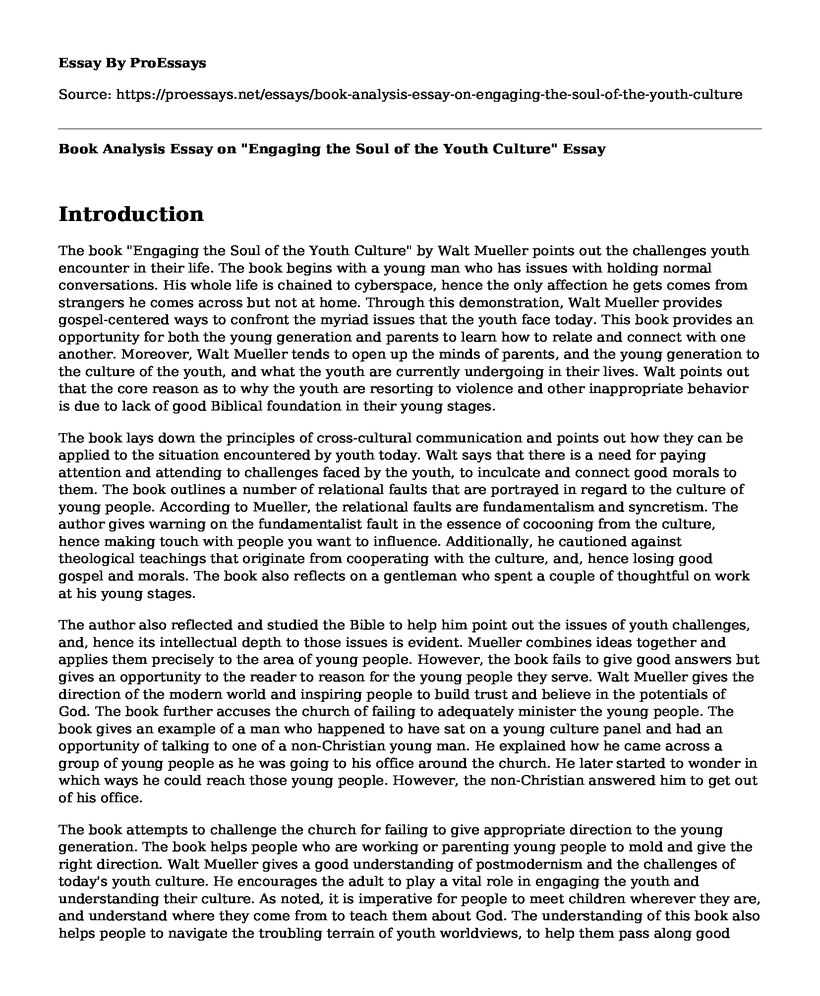 Book Analysis Essay on "Engaging the Soul of the Youth Culture"