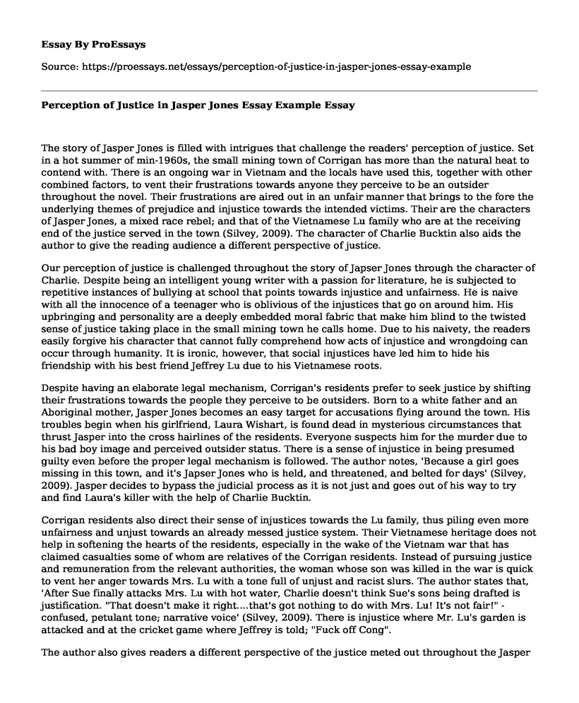 Perception of Justice in Jasper Jones Essay Example