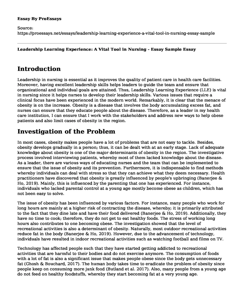 Leadership Learning Experience: A Vital Tool in Nursing - Essay Sample