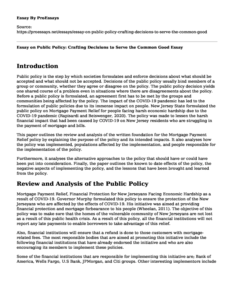Essay on Public Policy: Crafting Decisions to Serve the Common Good