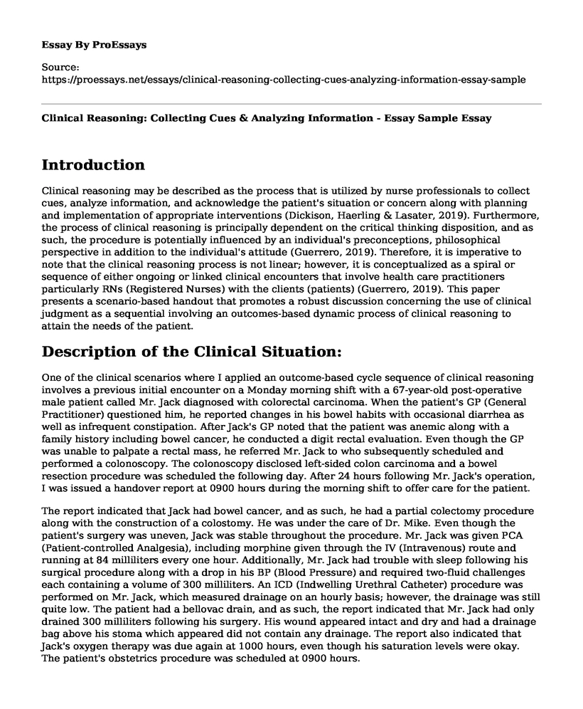 Clinical Reasoning: Collecting Cues & Analyzing Information - Essay Sample