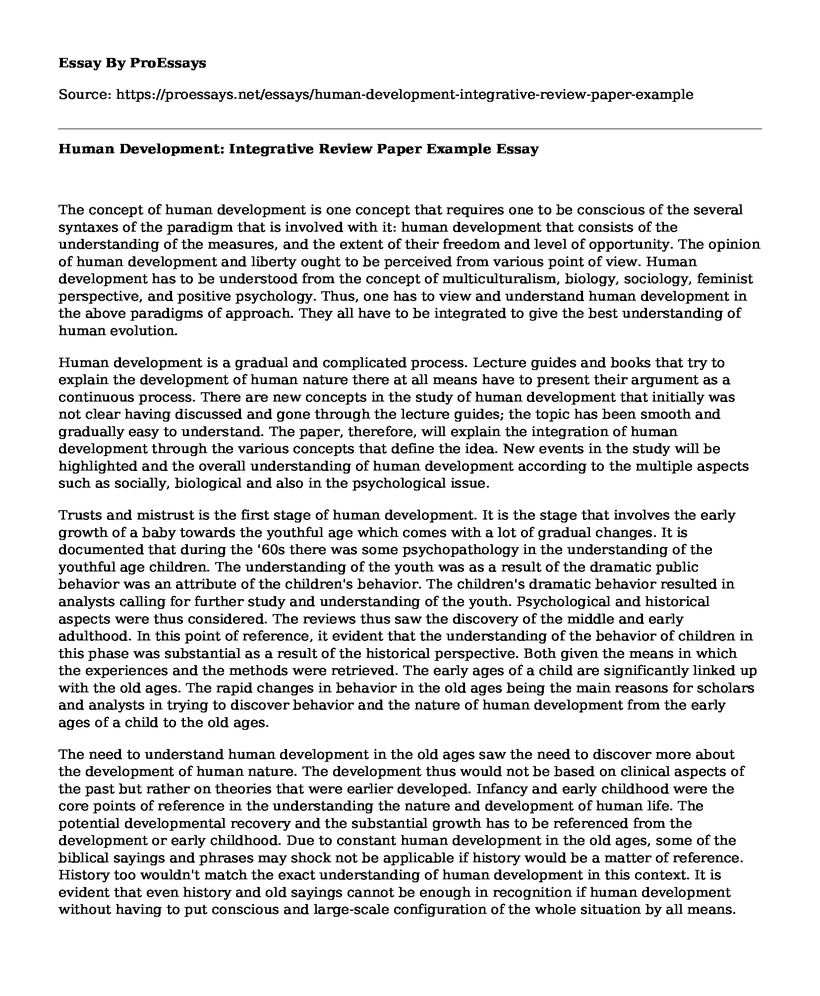 Human Development: Integrative Review Paper Example