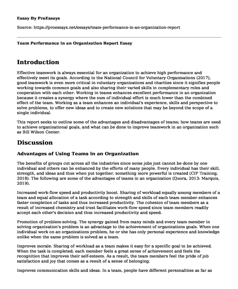 Team Performance in an Organization Report
