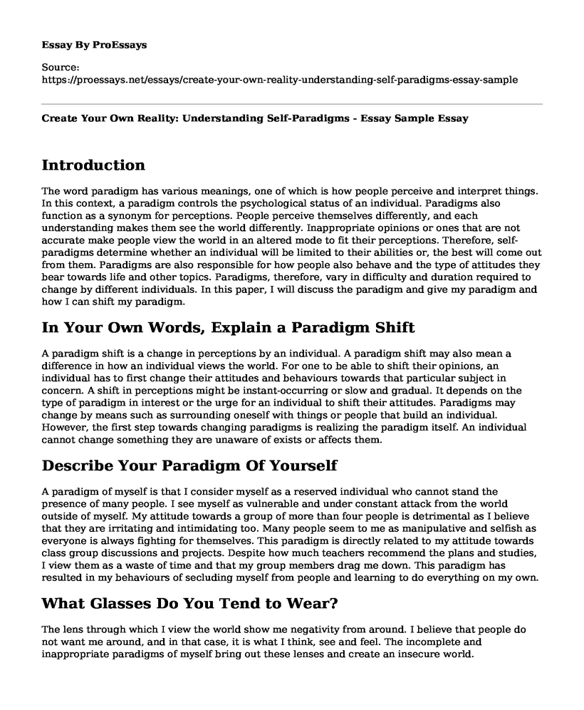 Create Your Own Reality: Understanding Self-Paradigms - Essay Sample