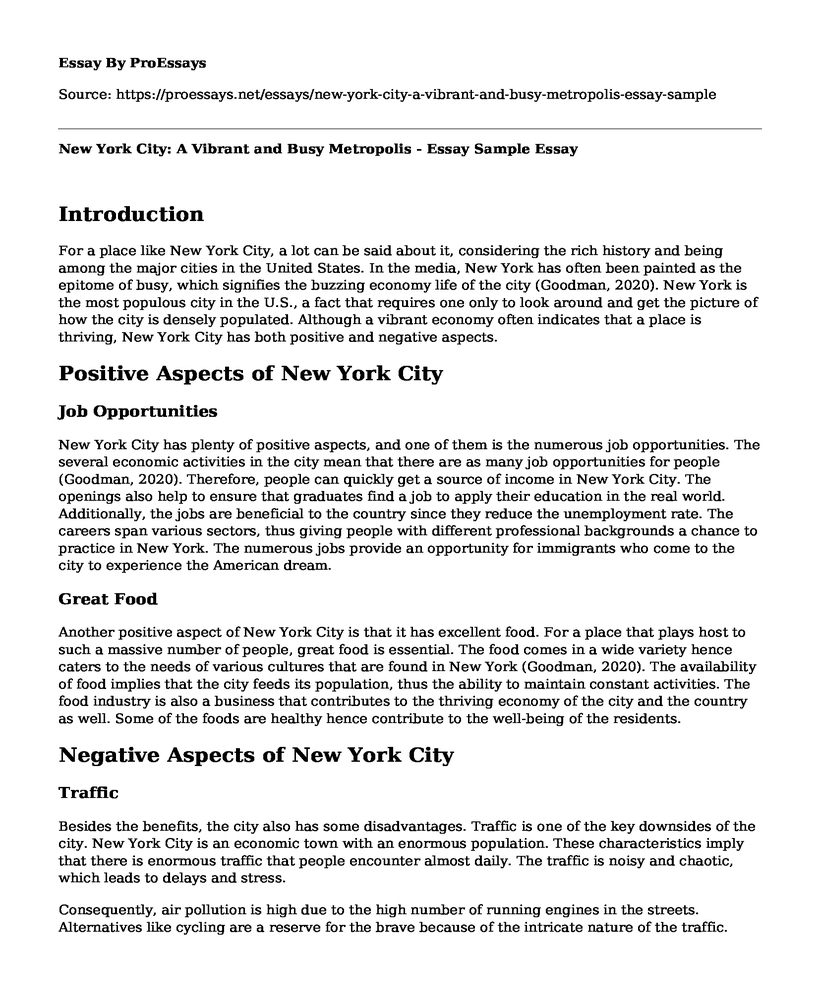 New York City: A Vibrant and Busy Metropolis - Essay Sample