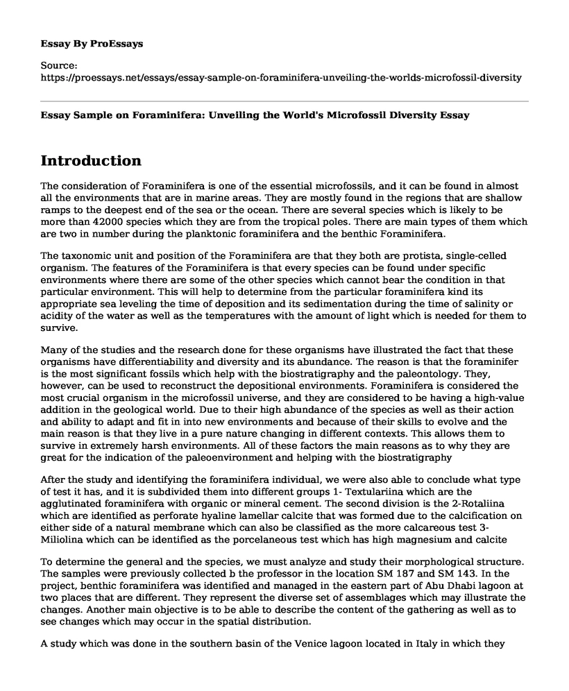 Essay Sample on Foraminifera: Unveiling the World's Microfossil Diversity
