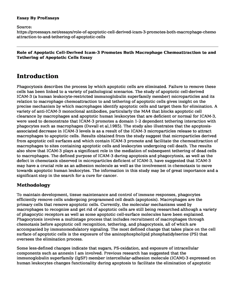Role of Apoptotic Cell-Derived Icam-3 Promotes Both Macrophage Chemoattraction to and Tethering of Apoptotic Cells