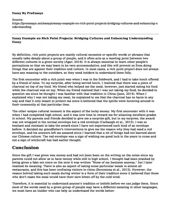 Essay Example on Rich Point Projects: Bridging Cultures and Enhancing Understanding