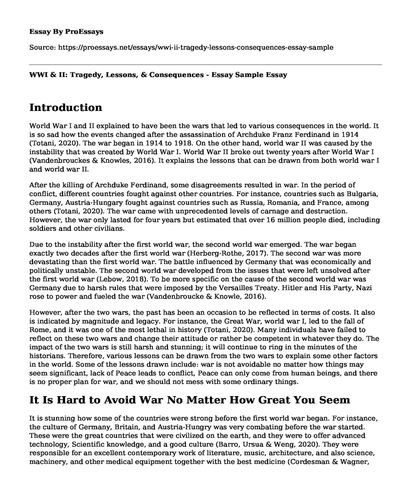WWI & II: Tragedy, Lessons, & Consequences - Essay Sample