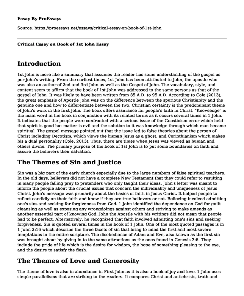 Critical Essay on Book of 1st John 