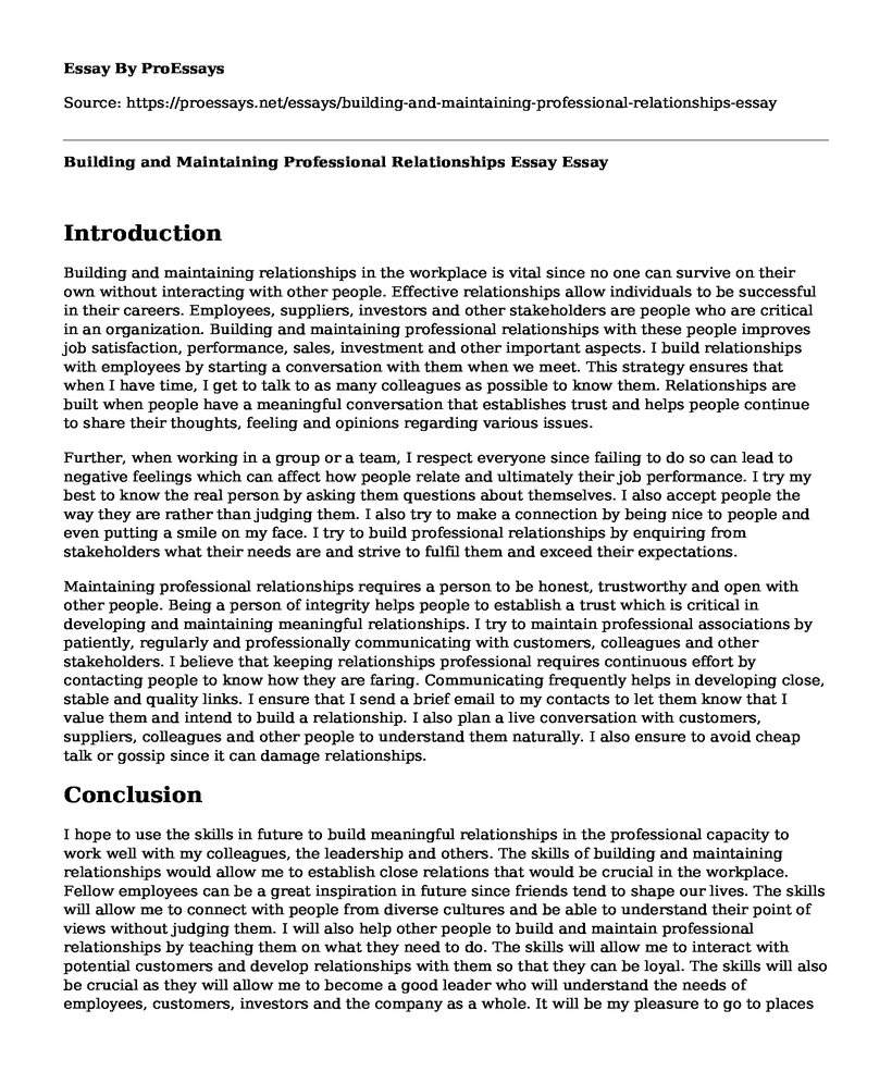 Building and Maintaining Professional Relationships Essay