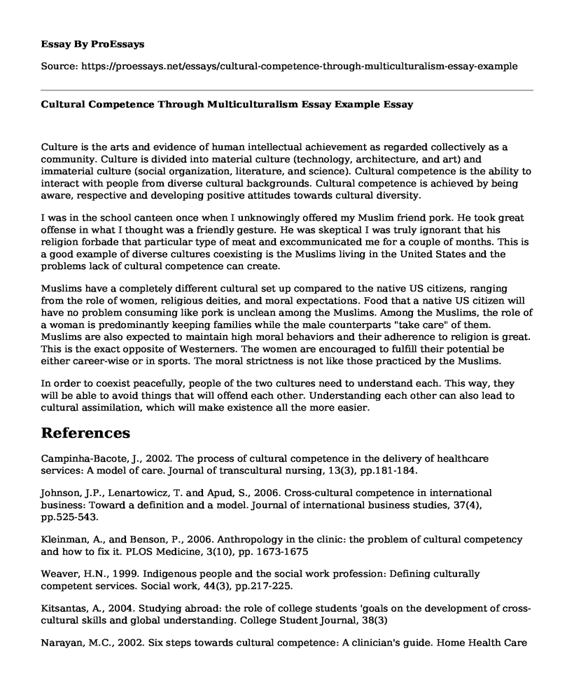 Cultural Competence Through Multiculturalism Essay Example