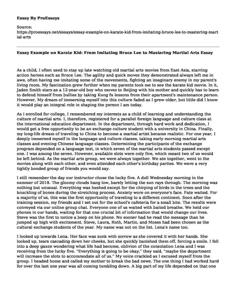 college application essay about karate