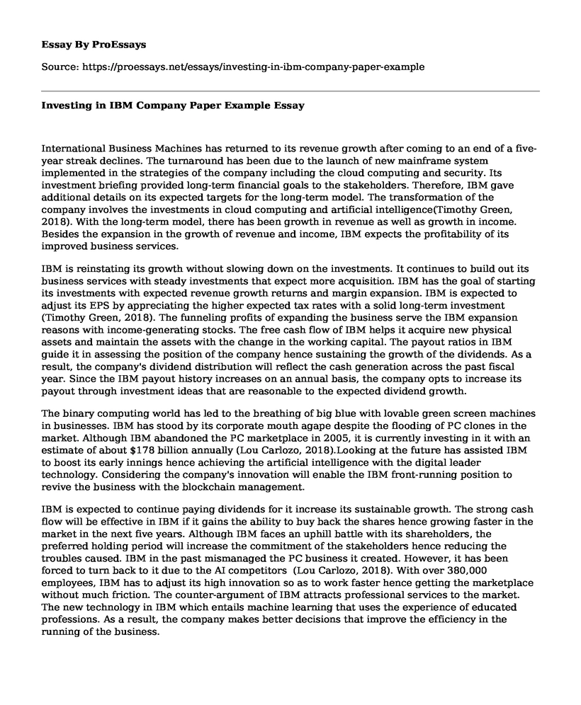 Investing In IBM Company Paper Example Free Essay Term Paper 