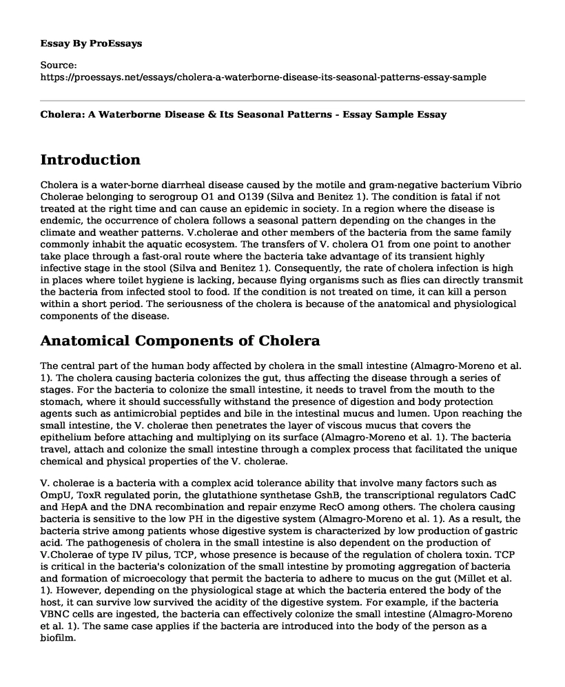 Cholera: A Waterborne Disease & Its Seasonal Patterns - Essay Sample