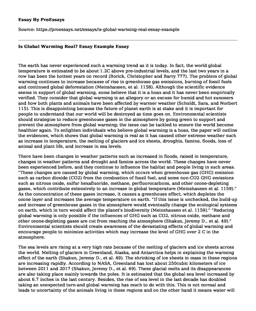 Is Global Warming Real? Essay Example