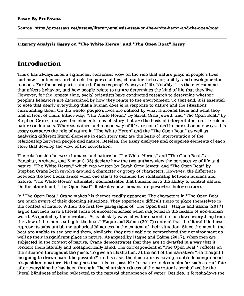 Literary Analysis Essay on "The White Heron" and "The Open Boat"