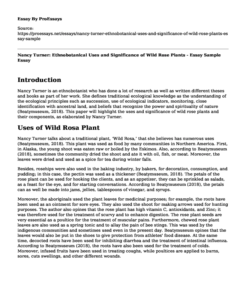 Nancy Turner: Ethnobotanical Uses and Significance of Wild Rose Plants - Essay Sample