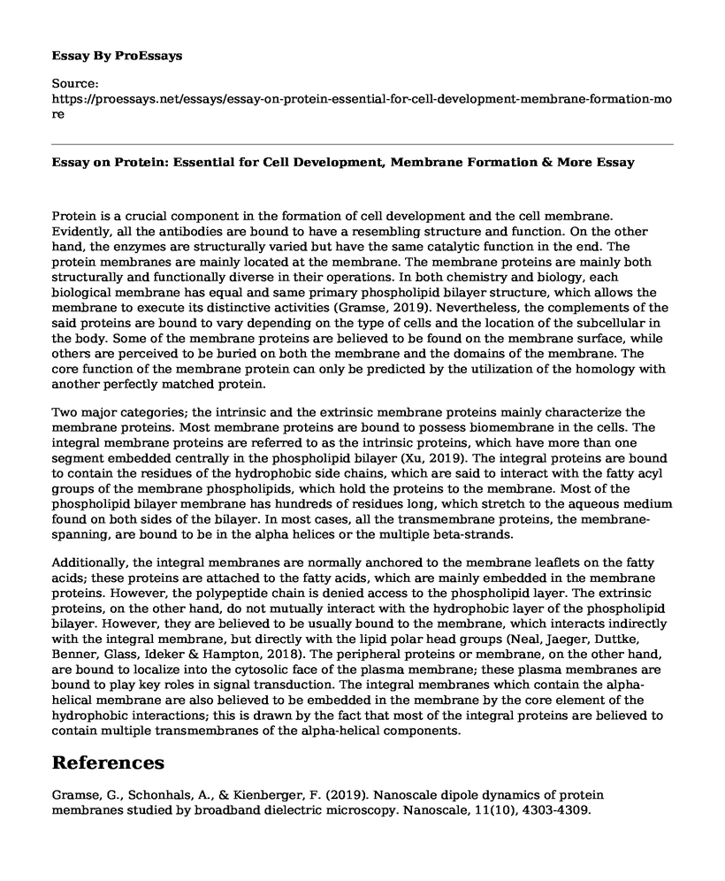 Essay on Protein: Essential for Cell Development, Membrane Formation & More