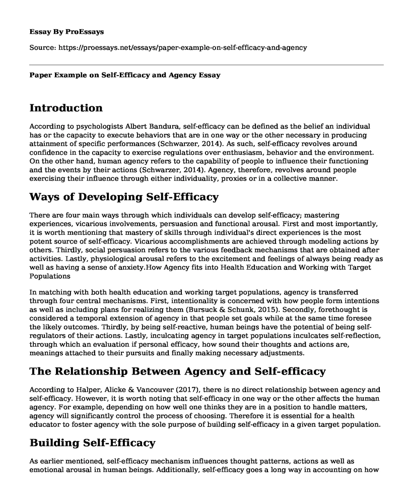 Paper Example on Self-Efficacy and Agency