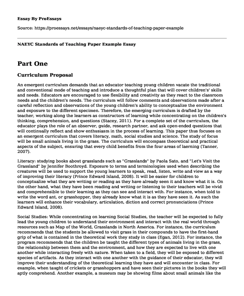 NAEYC Standards of Teaching Paper Example