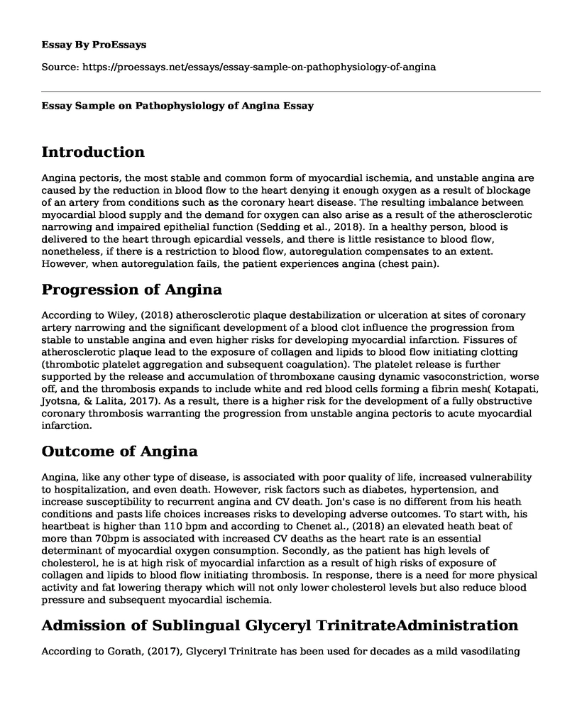 Essay Sample on Pathophysiology of Angina