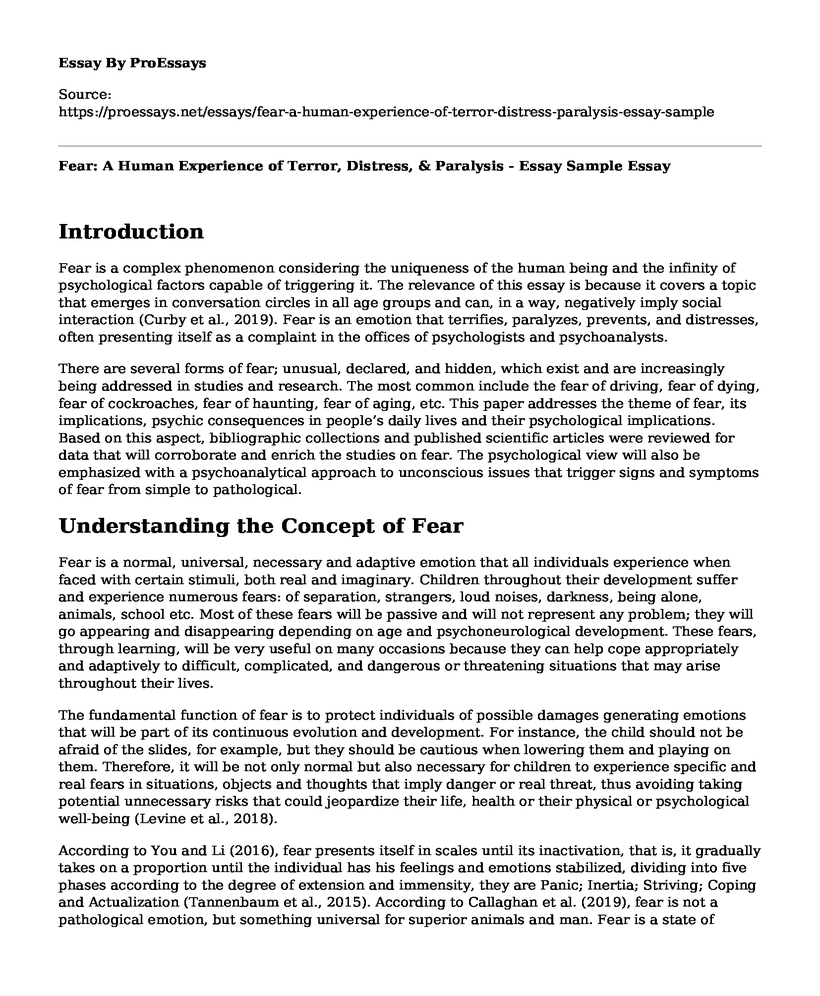 Fear: A Human Experience of Terror, Distress, & Paralysis - Essay Sample