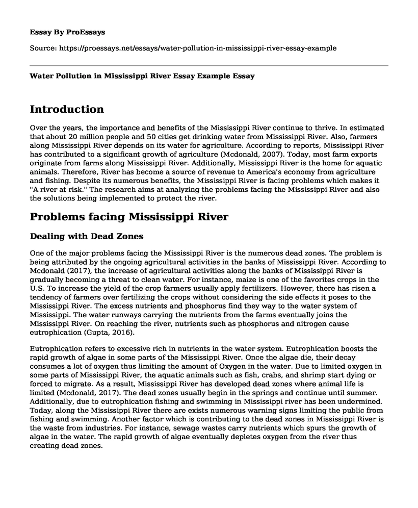 Water Pollution in Mississippi River Essay Example