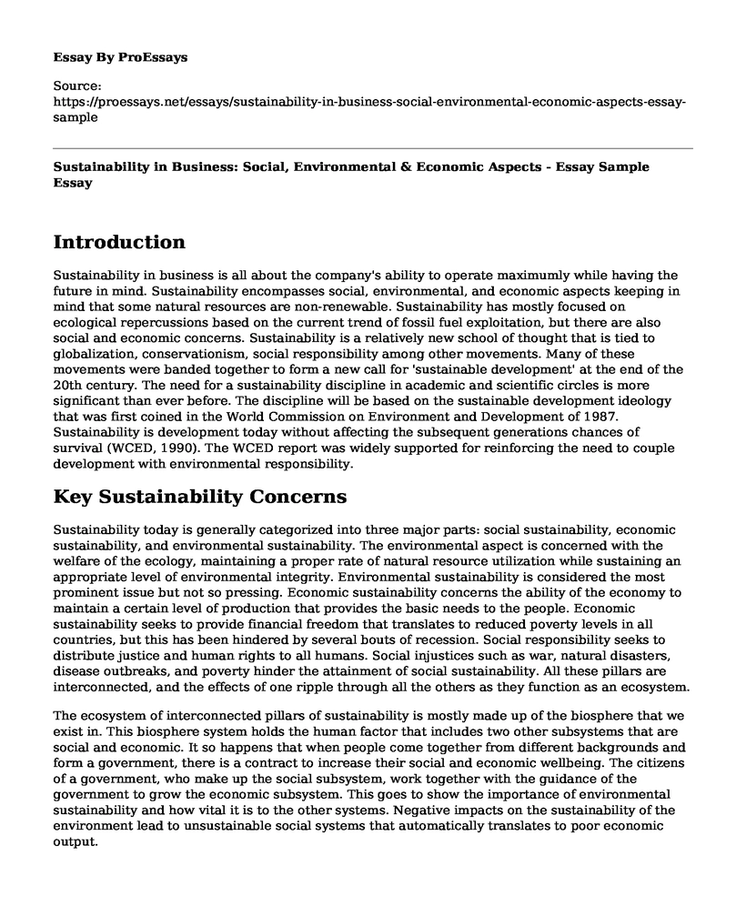 Sustainability in Business: Social, Environmental & Economic Aspects - Essay Sample